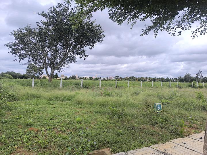 Devanahalli Main Image 1