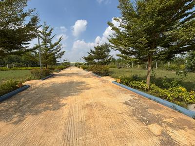 Residential Plot