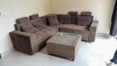 Living Room Image of 780 Sq.ft 1 BHK Apartment / Flat for rent in Defence Home, Sector 115 Mohali for Rs. 15000
