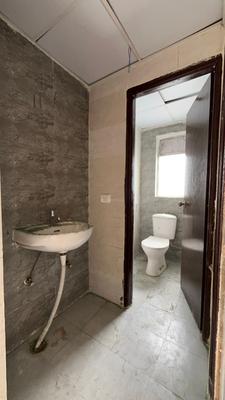 Bathroom Image of 585 Sq.ft 1 BHK Apartment / Flat for sale in Amrapali Dream Valley 2, Noida Extension Greater Noida for Rs. 4490000