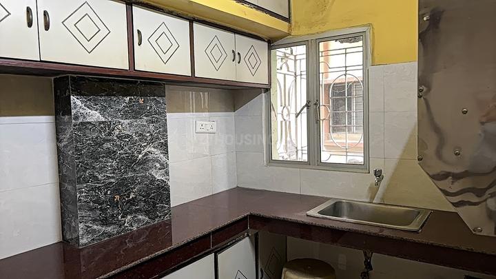 Daffodil Duke Gardens Main Image 1