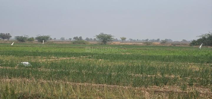 Lothal Main Image 1