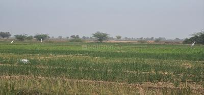Lothal Plot View 1