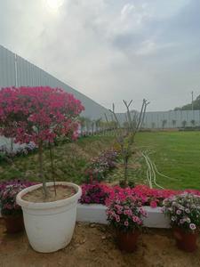 Sushant Lok 2 Plot View 3