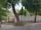 Sarvodaya Nagar, Indira Nagar Main Image 1