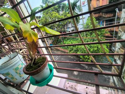Balcony Image of 1250 Sq.ft 3 BHK Builder Floor for sale in Behala Chowrasta Kolkata for Rs. 5800000