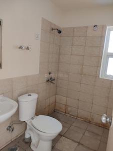 Common Bathroom Image of 1320 Sq.ft 3 BHK Apartment / Flat for rent in Jaypee Aman, Sector 151 Noida for Rs. 14000