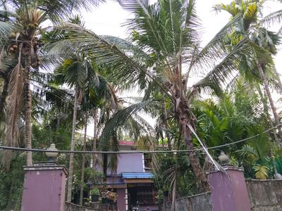 Image of 7405 Sq.ft 2 BHK Independent House for sale in Perinthalmanna, Malappuram for Rs. 7000000
