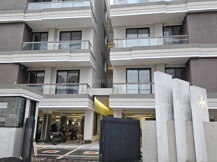 ORION Crown Main Image 1