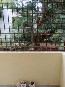 Balcony Image of 1100 Sq.ft 2 BHK Builder Floor for rent in RR Nagar Bengaluru for Rs. 27000