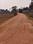 Dobo Plot View 2