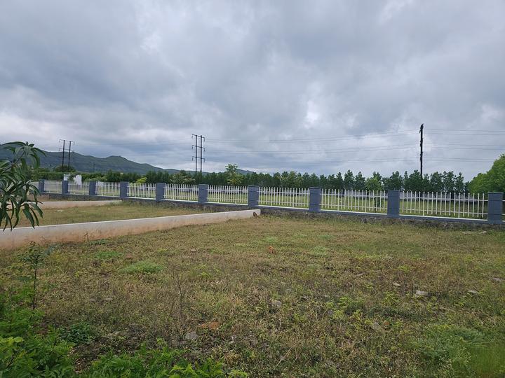 Uruli Kanchan Main Image 1