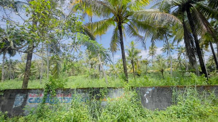 North Paravoor Main Image 1