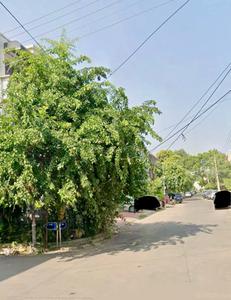 Image of 2250 Sq.ft 9 BHK Independent House for sale in Sector 7, Chandigarh for Rs. 125000000