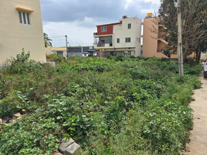 Kachohalli Main Image 1