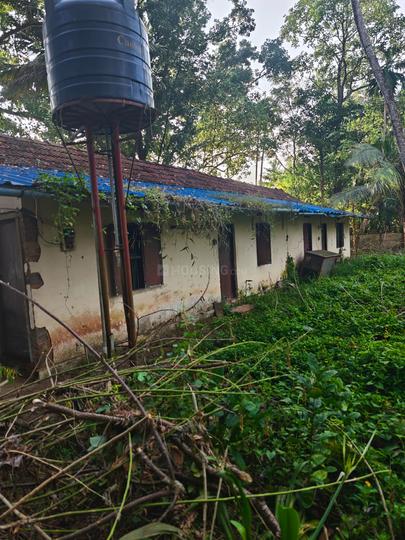 Panangad Main Image 1