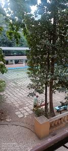 Balcony Image of 2800 Sq.ft 4 BHK Apartment / Flat for rent in Saket Towers, Thane West Thane for Rs. 80000