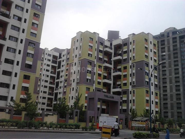 Fortune Aristolia Main Image 1