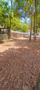 Image of 1742 Sq.ft Residential Plot / Land for sale in Kakkanad, Kochi for Rs. 1650000