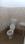 Sector K, Ashiyana Bathroom 1