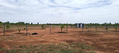 Image of 11104 Sq.ft Residential Plot / Land for sale in Sooriyur, Tiruchirappalli for Rs. 1765377