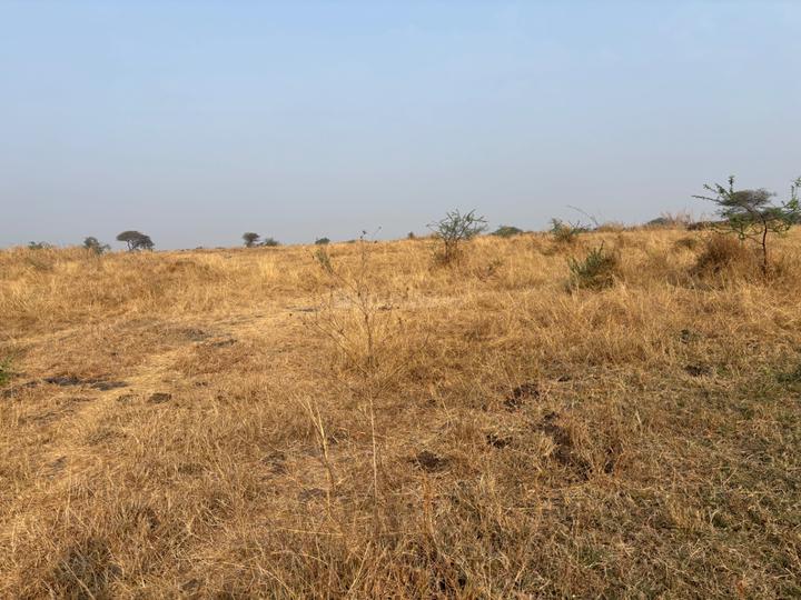 Milind Nagar, Vadgaon Main Image 1