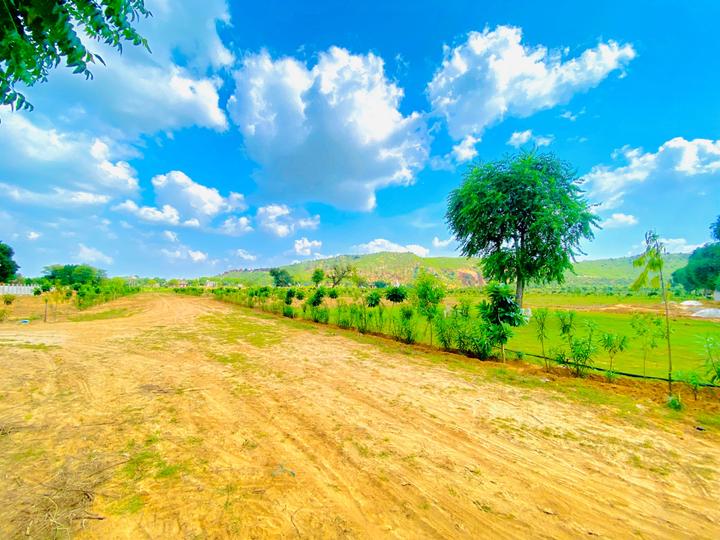 The Mundota Valley Main Image 1