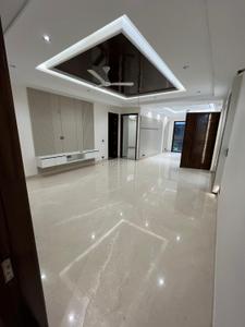 Hall Image of 2500 Sq.ft 3 BHK Builder Floor for sale in Sector 11 Panchkula for Rs. 31000000