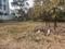 Yapral bhanu enclave Plot View 2