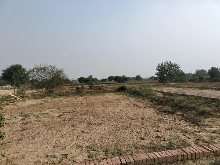 Virasat Royal Paradise Main Image 1