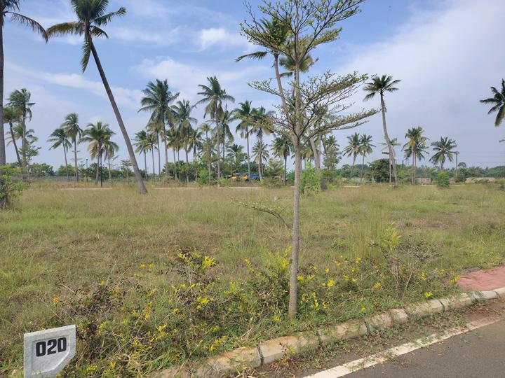 TVS Emerald Lake Shore Main Image 1