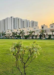 Residential Plot