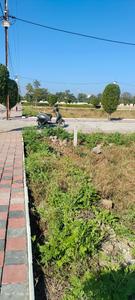 Residential Plot