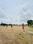 Theur Plot View 2