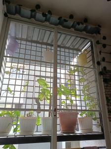 Balcony Image of 1315 Sq.ft 2 BHK Apartment / Flat for sale in Casagrand ECR 14, Kanathur Reddikuppam Chennai for Rs. 12000000
