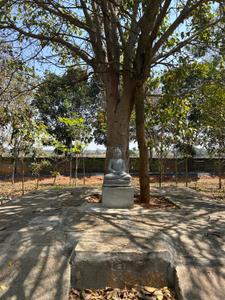 Image of 1200 Sq.ft Residential Plot / Land for sale in Stellar Mulberry, Balajigapade, Chikballapur District for Rs. 2600000
