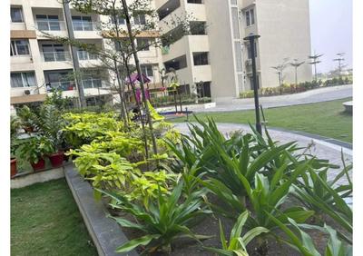 Balcony Image of 725 Sq.ft 2 BHK Apartment / Flat for sale in VIP Colony Raipur for Rs. 3371000