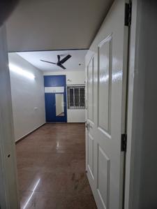 Hall Image of 831 Sq.ft 2 BHK Apartment / Flat for rent in Thoraipakkam Chennai for Rs. 30000