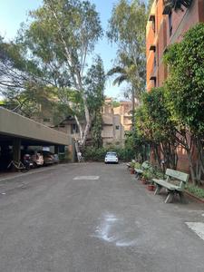 Image of clover trump in Sangamvadi, Pune