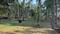 Image of 300 Sq.ft Residential Plot / Land for sale in Ponda, Goa for Rs. 4500000