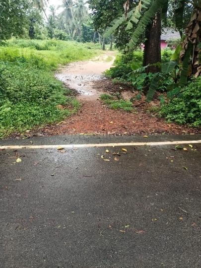 Majorda, Utorda Main Image 1