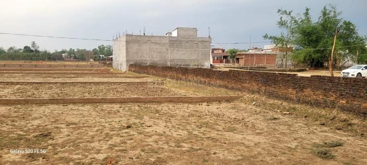 New Colony Main Image 1