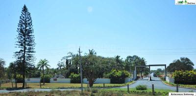 Residential Plot