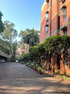 Image of clover trump in Sangamvadi, Pune