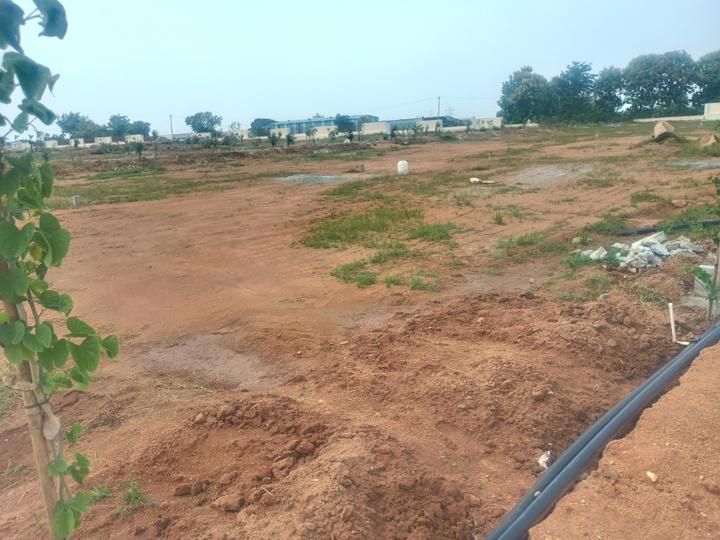 Open plot Shadnagar Main Image 1