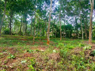 Image of 8712 Sq.ft Residential Plot / Land for sale in Kottarakkara, Kollam for Rs. 100000