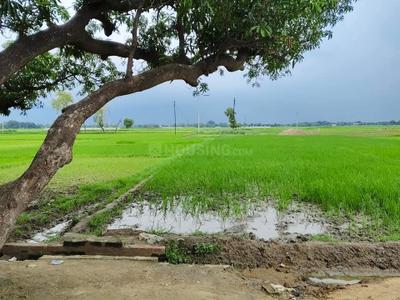 Image of 1000 Sq.ft Residential Plot / Land for sale in Mirzamurad, Varanasi for Rs. 2400000