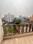 Flat Tagore park Balcony 1