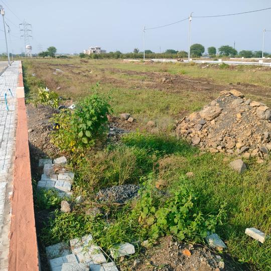 Ringnodiya Main Image 1