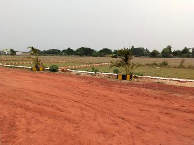 Balianta Plot View 2